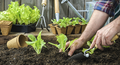 Are stainless steel garden tools suitable for all types of plants?